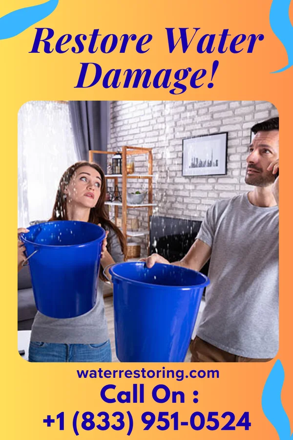 water restoration Prime Extraction & Associates Fairhope